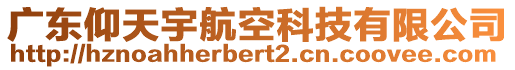 廣東仰天宇航空科技有限公司