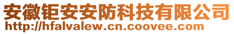 安徽鉅安安防科技有限公司