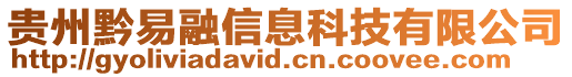 貴州黔易融信息科技有限公司