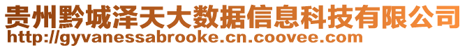 貴州黔城澤天大數(shù)據(jù)信息科技有限公司