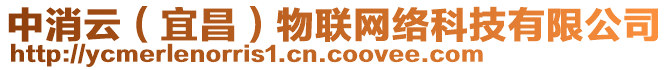 中消云(宜昌)物聯網絡科技有限公司