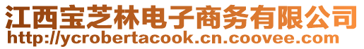 江西寶芝林電子商務有限公司