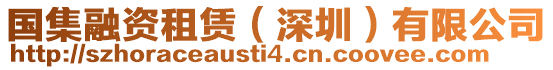 國(guó)集融資租賃(深圳)有限公司