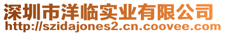 深圳市洋臨實業有限公司