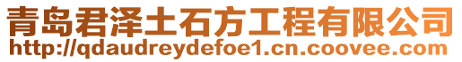 青島君澤土石方工程有限公司