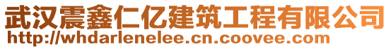 武漢震鑫仁億建筑工程有限公司