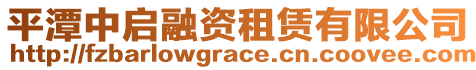 平潭中啟融資租賃有限公司