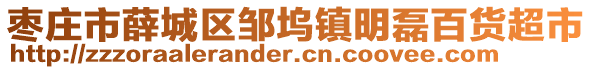 棗莊市薛城區(qū)鄒塢鎮(zhèn)明磊百貨超市