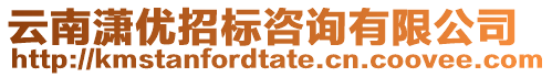 云南瀟優(yōu)招標(biāo)咨詢(xún)有限公司
