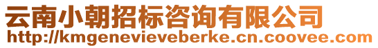 云南小朝招標咨詢有限公司