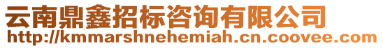 云南鼎鑫招標咨詢有限公司