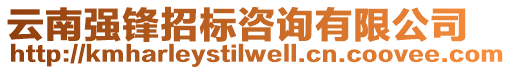 云南強(qiáng)鋒招標(biāo)咨詢有限公司