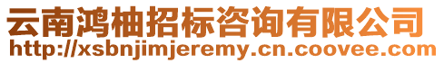 云南鴻柚招標咨詢有限公司
