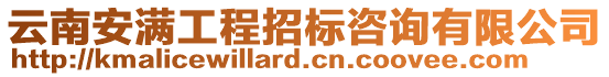 云南安滿工程招標(biāo)咨詢有限公司