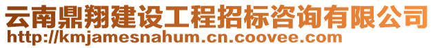 云南鼎翔建設(shè)工程招標(biāo)咨詢有限公司