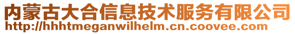 內(nèi)蒙古大合信息技術服務有限公司