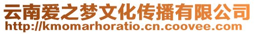 云南愛(ài)之夢(mèng)文化傳播有限公司