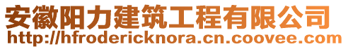 安徽陽力建筑工程有限公司