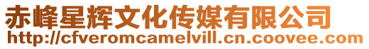 赤峰星輝文化傳媒有限公司