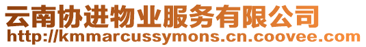 云南協(xié)進(jìn)物業(yè)服務(wù)有限公司