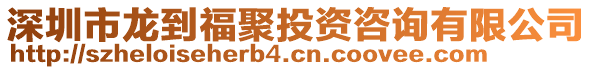 深圳市龍到福聚投資咨詢有限公司
