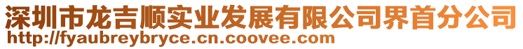 深圳市龍吉順實業發展有限公司界首分公司