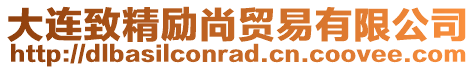 大連致精勵(lì)尚貿(mào)易有限公司
