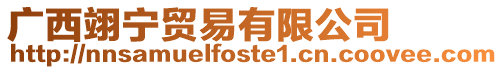 廣西翊寧貿(mào)易有限公司