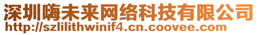 深圳嗨未來網(wǎng)絡(luò)科技有限公司