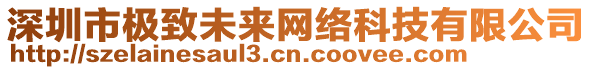 深圳市極致未來網(wǎng)絡(luò)科技有限公司