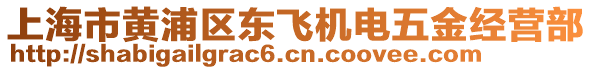 上海市黃浦區(qū)東飛機(jī)電五金經(jīng)營(yíng)部