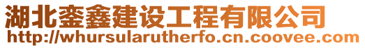 湖北鑾鑫建設(shè)工程有限公司