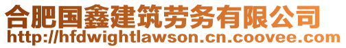 合肥國鑫建筑勞務有限公司