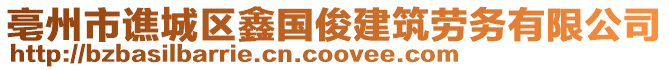 亳州市譙城區鑫國俊建筑勞務有限公司