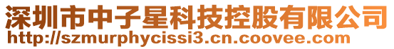 深圳市中子星科技控股有限公司