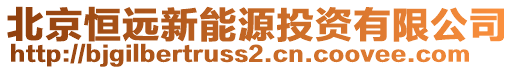 北京恒遠新能源投資有限公司