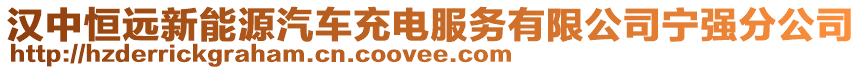 漢中恒遠新能源汽車充電服務有限公司寧強分公司