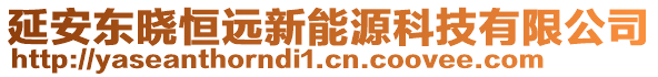 延安東曉恒遠新能源科技有限公司