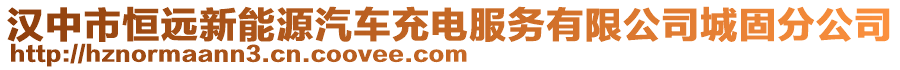 漢中市恒遠新能源汽車充電服務有限公司城固分公司