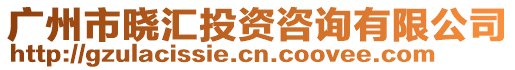 廣州市曉匯投資咨詢有限公司