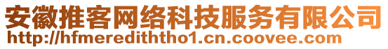 安徽推客網(wǎng)絡(luò)科技服務(wù)有限公司