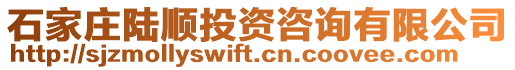 石家莊陸順投資咨詢有限公司