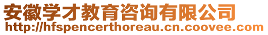 安徽學(xué)才教育咨詢有限公司