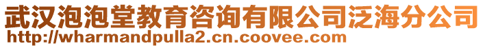 武漢泡泡堂教育咨詢有限公司泛海分公司