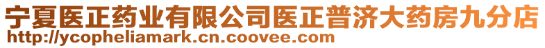 寧夏醫正藥業有限公司醫正普濟大藥房九分店