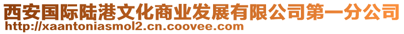 西安國(guó)際陸港文化商業(yè)發(fā)展有限公司第一分公司