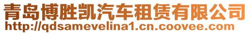 青島博勝凱汽車租賃有限公司