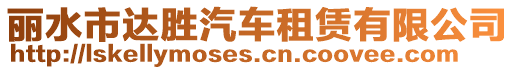 麗水市達(dá)勝汽車租賃有限公司