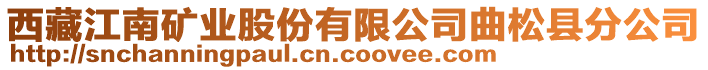 西藏江南礦業(yè)股份有限公司曲松縣分公司