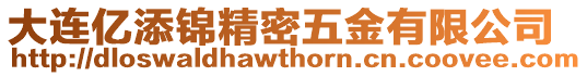 大連億添錦精密五金有限公司